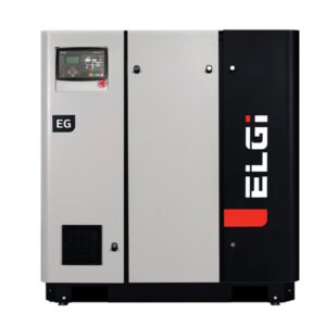 ELGi EG 15
