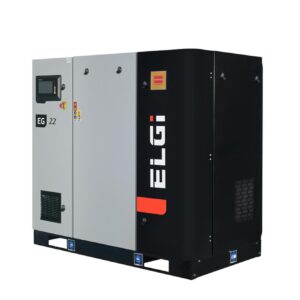 ELGi EG 22